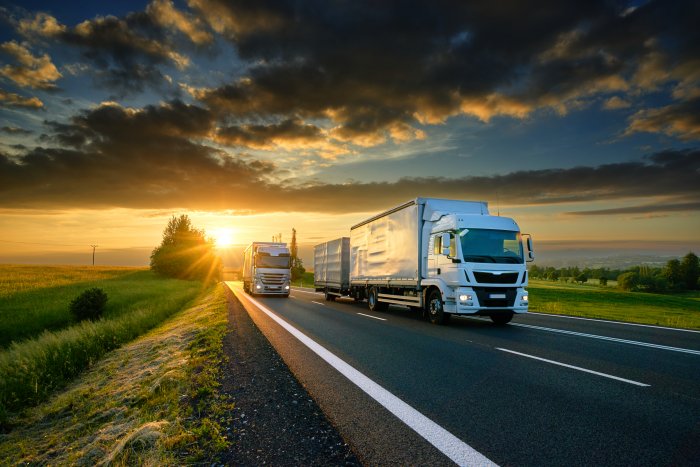 Domestic Freight Transport Decreased 7% Last Year