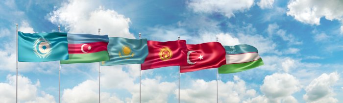 Hungary gets healthcare equipment from Turkic Council