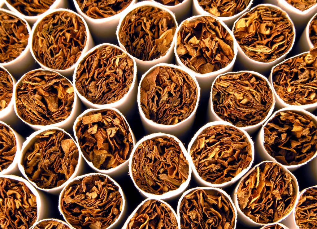 Tobacco crop declines as avg yield plunges