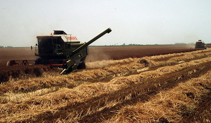 Summer-crop harvest expected to be good to average