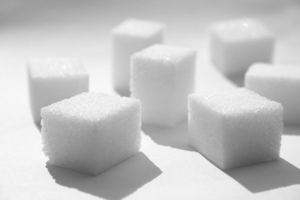 Magyar Cukor to Refine Around 900,000 Tonnes of Sugar Beet