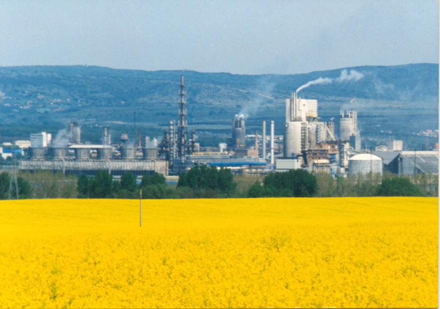 Nitrogénművek suspends ammonia production