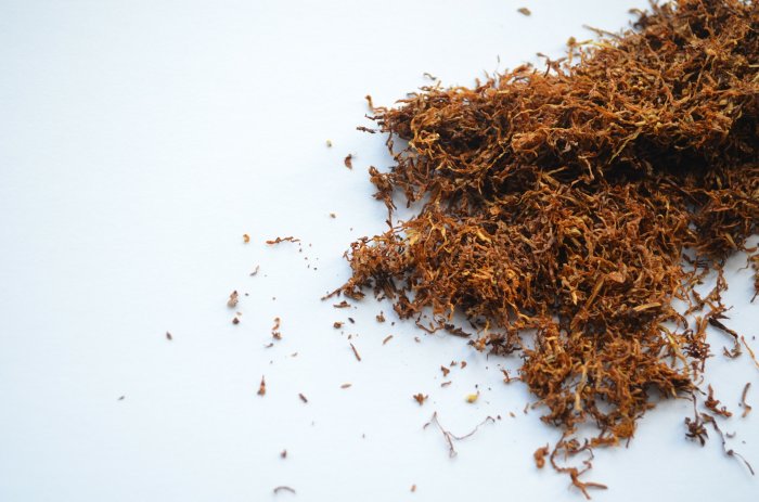 Tobacco harvest expected to be around 4,000 tonnes