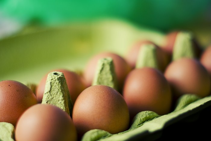 Hungary launches egg promotion campaign