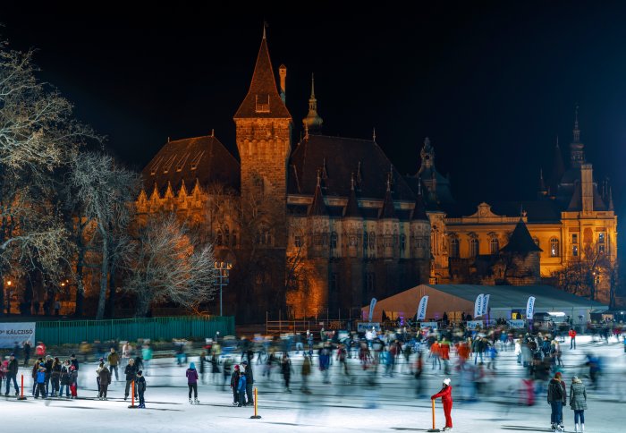 Swisscham goes skating in City Park