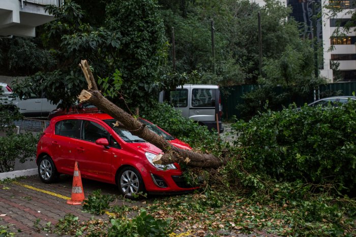 June storms cause HUF 1 bln of damage 