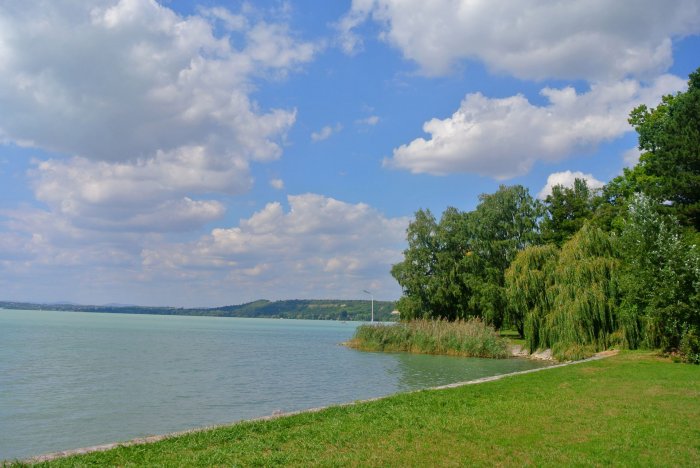 Expert cautions against reed removal on Lake Balaton