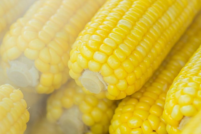 Sweetcorn harvest estimated at 500,000 tonnes in 2021