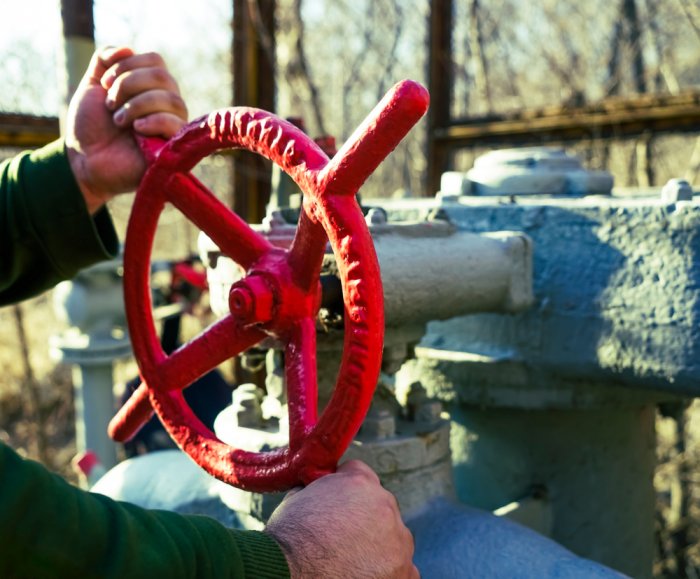 Hungary Looks to Turkmenistan as Possible Source of Gas