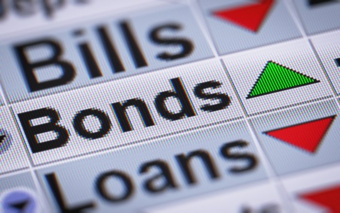 Weekly Plusz bond sales climb