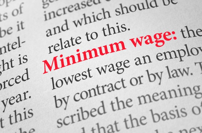 Gov't Backs 15% Minimum Wage Rise for Unskilled Laborers