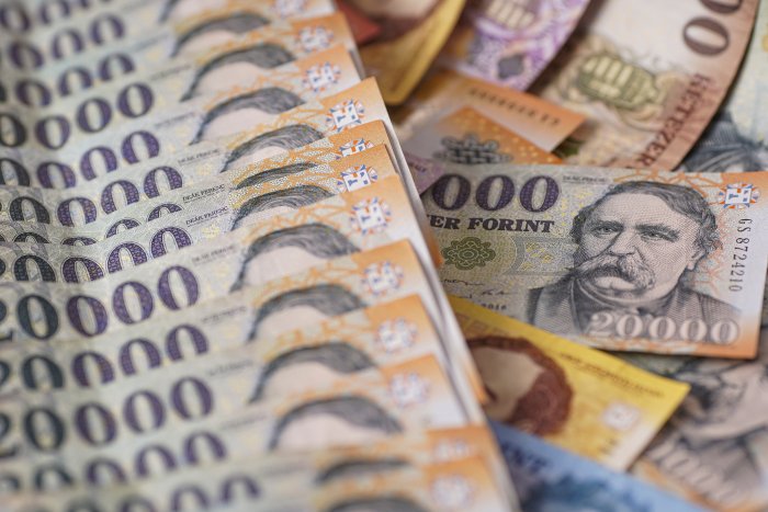 Banking Sector Forint Liquidity up in January