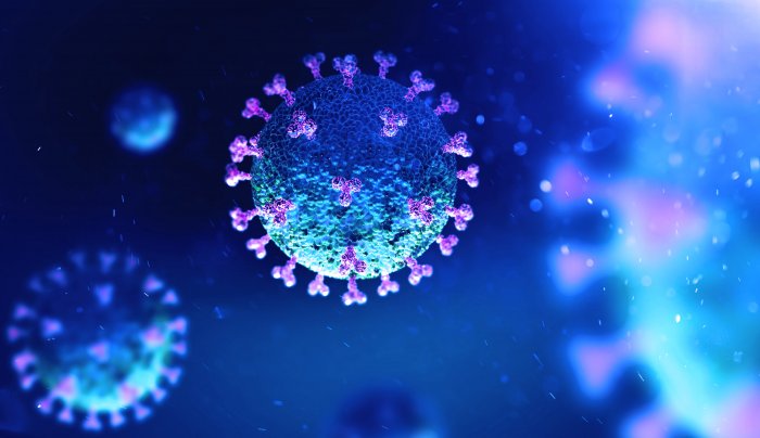 Hungary confirmed coronavirus cases rise to 2,775
