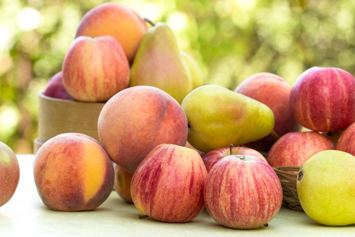 Larger Peach Crop Returns After 2-Year Absence