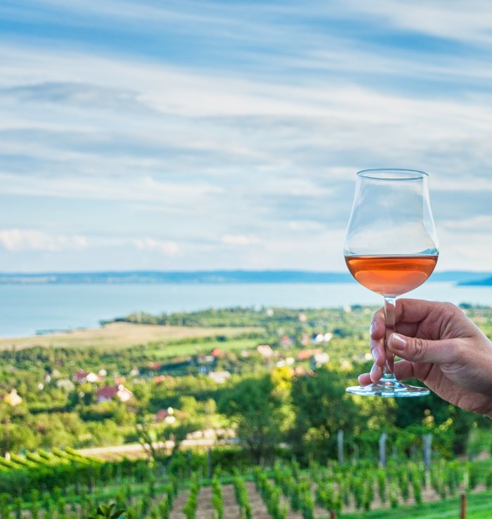 The Best Rosé now a Wine for all Seasons
