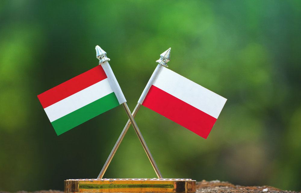 Polish-Hungarian economic coop discussion being held online