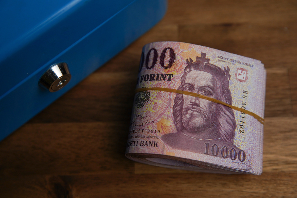 Nearly Half of Hungarians Unsatisfied With Financial Situation