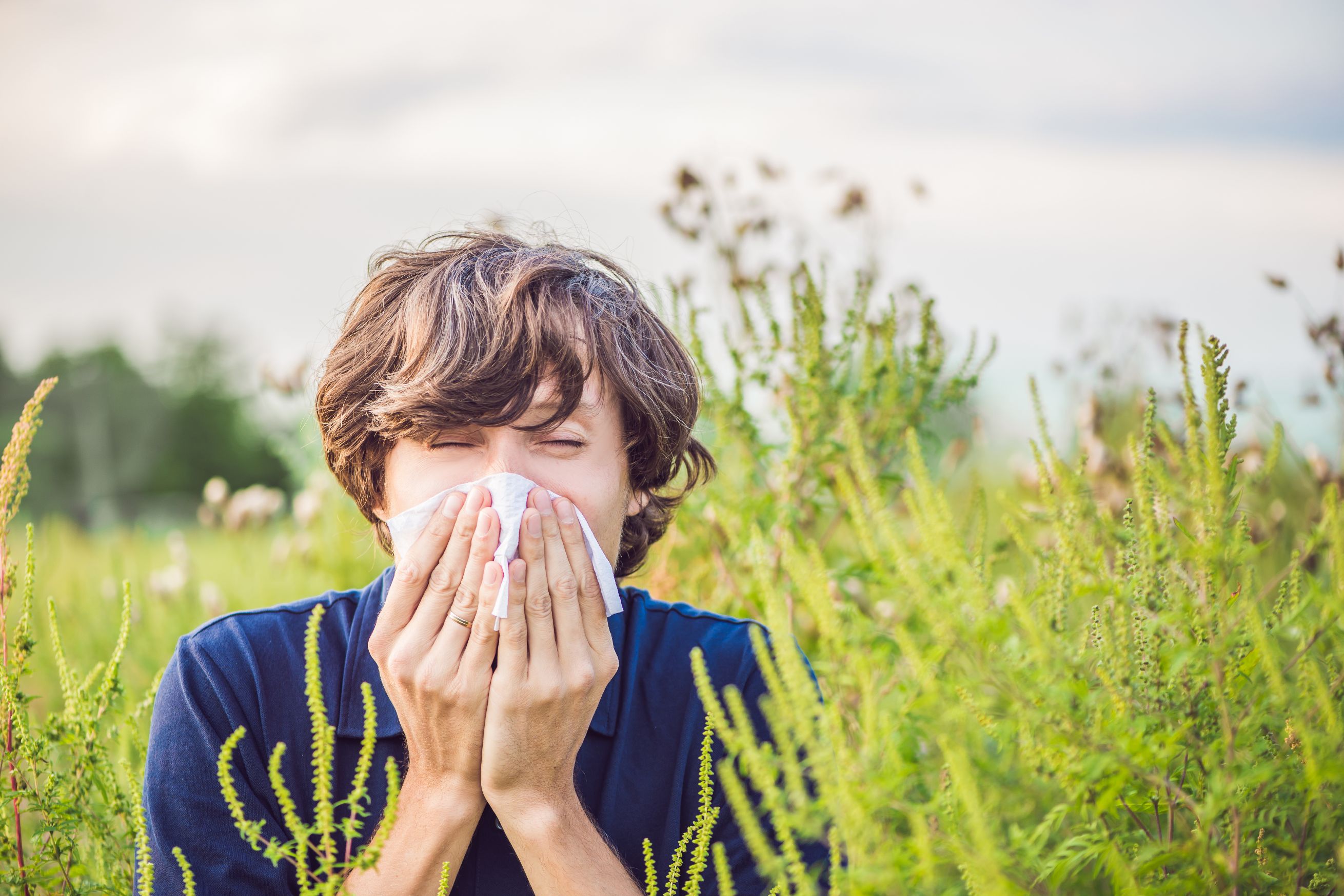 Pollen allergy - Why is an investigation important?