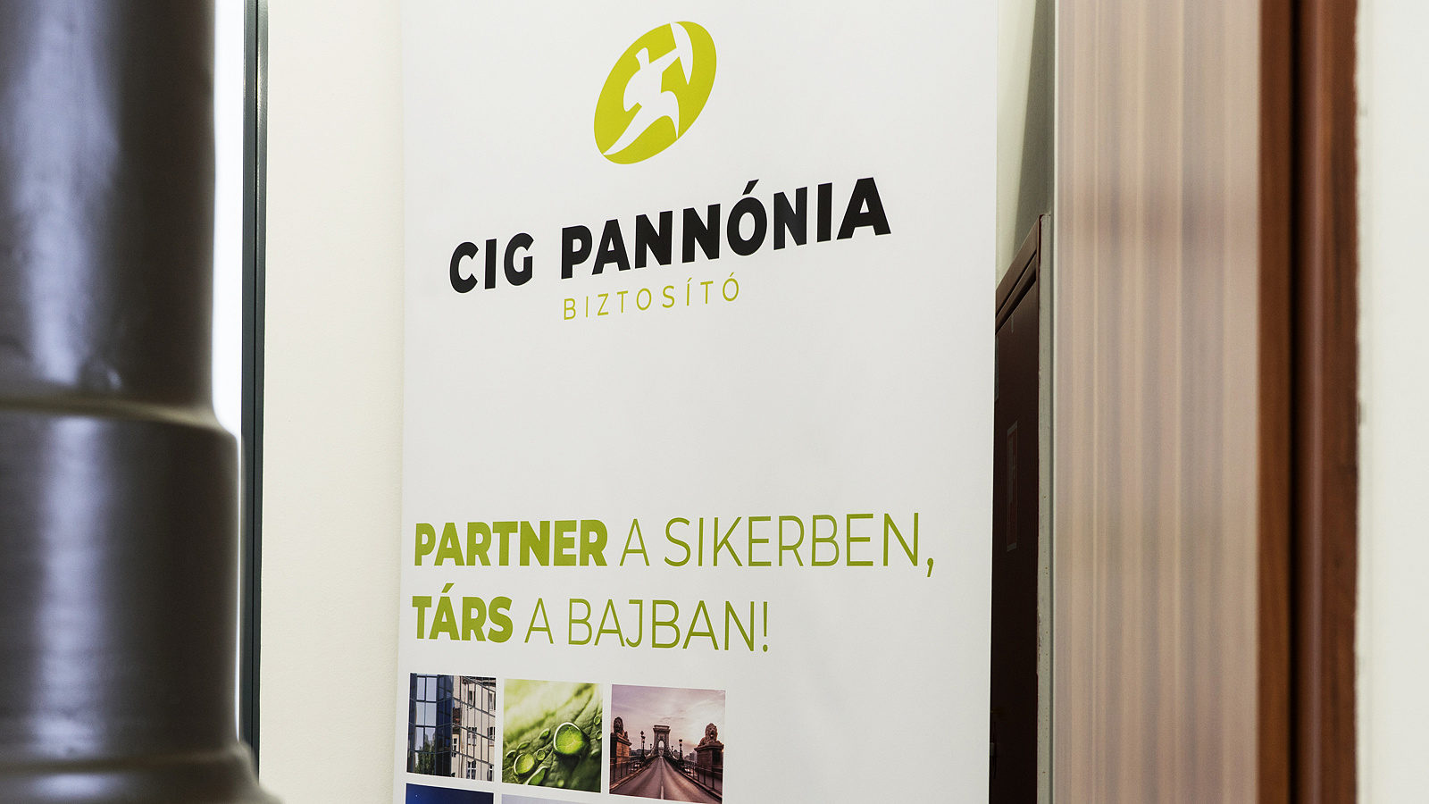 CIG Pannónia Premiums Revenue Climbs 35% in 2023
