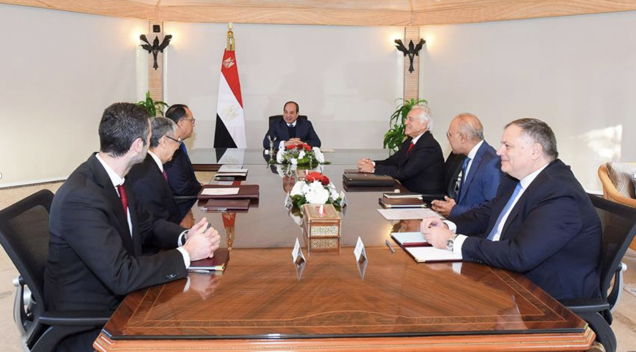 El-Sisi Reviews Progress of Egypt-EU GREGY Power Link