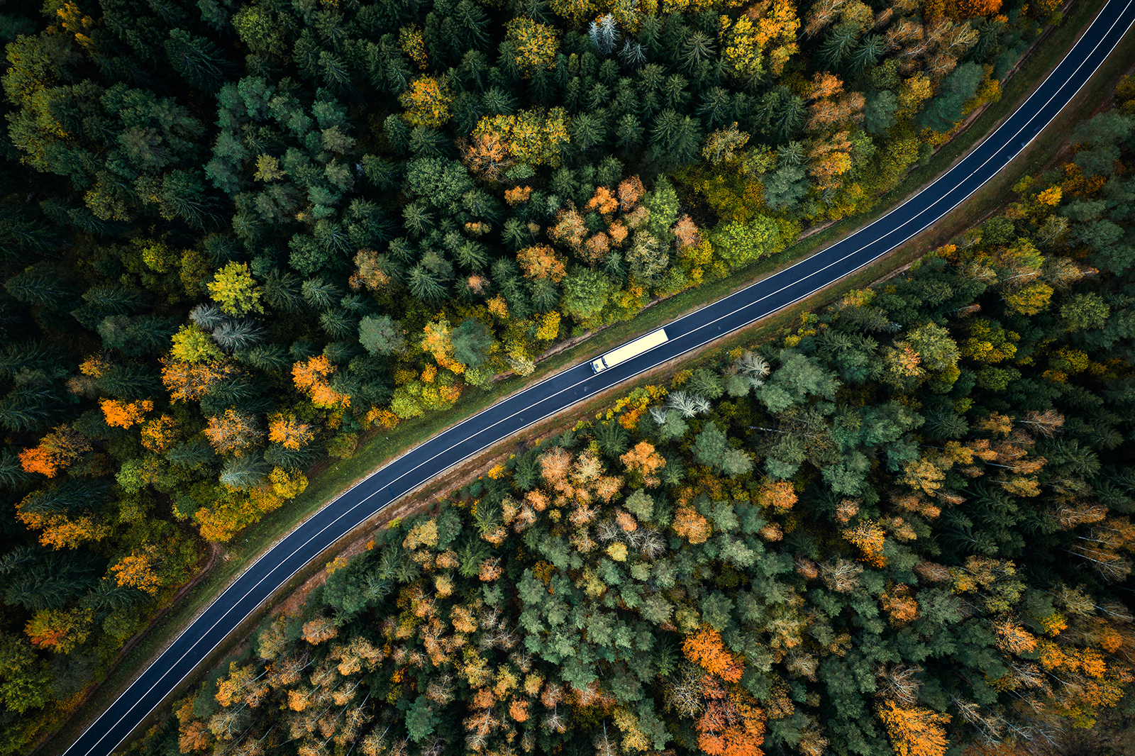 Hungary Grants Temporary Diesel Tax Relief to Freight Operators ...