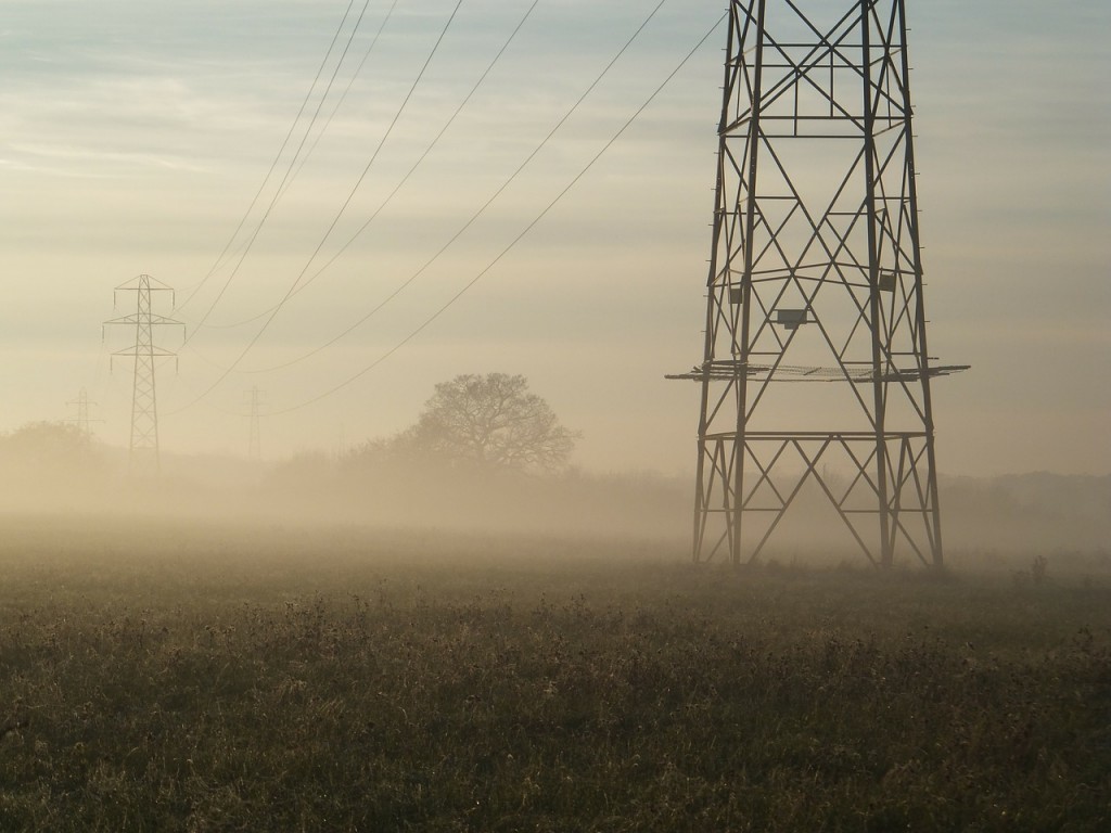Over 100,000 Using E-reporting Interface for Public Utilities